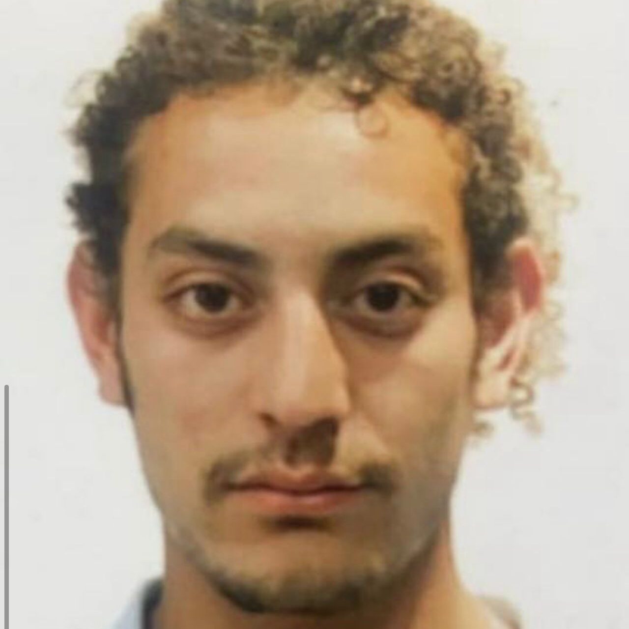 דוד ישראל פדידה